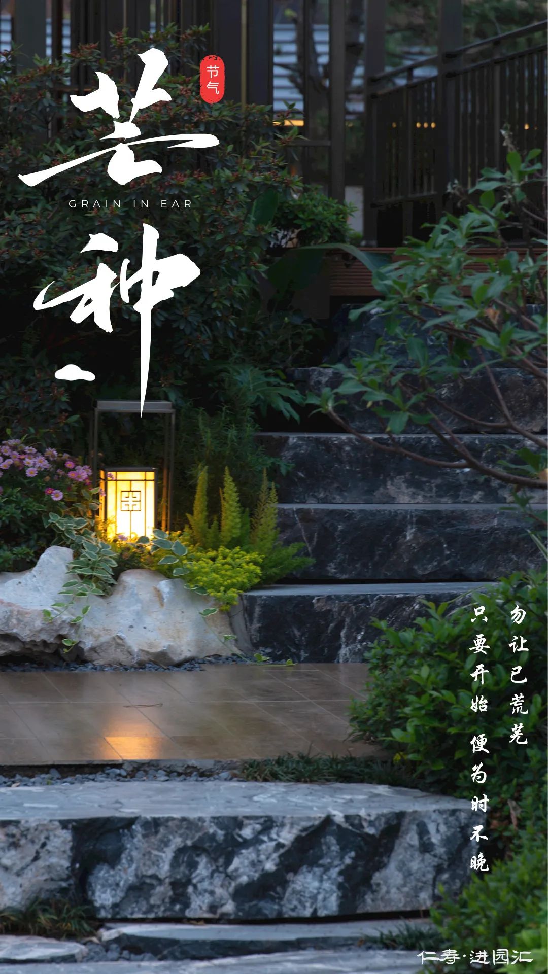 芒种节气